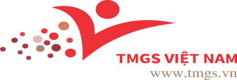 Công ty TNHH TMGS Việt Nam